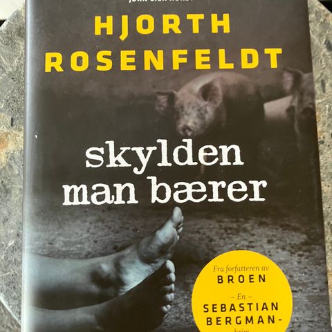 Krim av Hjorth Rosenfeldt: Skylden man bærer