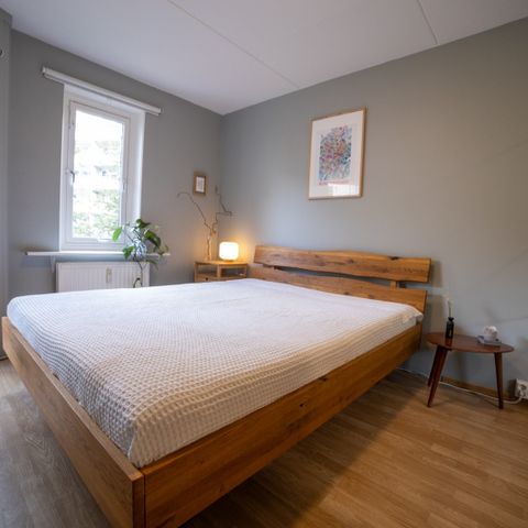 Tjørnbo double bed 160x200cm, mattress included!
