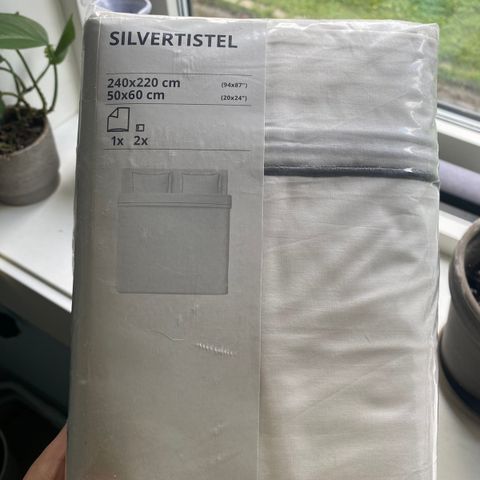 Silvertistel Ikea