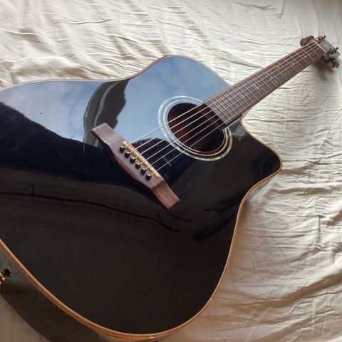 Morgan W 510 sce BK gitar
