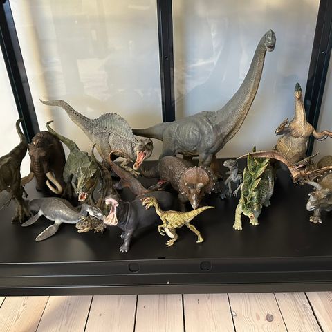 Diverse PAPO dinosaurer