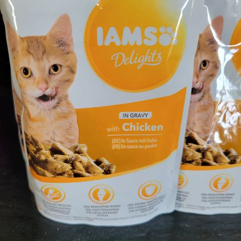 Iams våtfôr kattunge