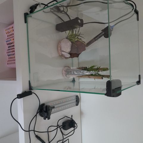 Nano led akvarium selges, med div utstyr