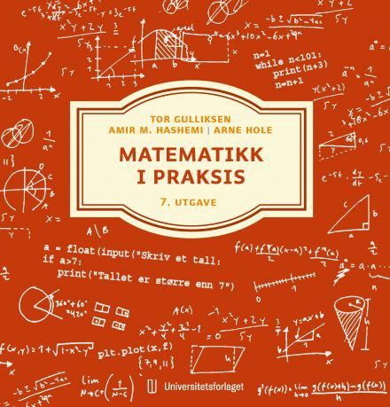 Matematikk i praksis