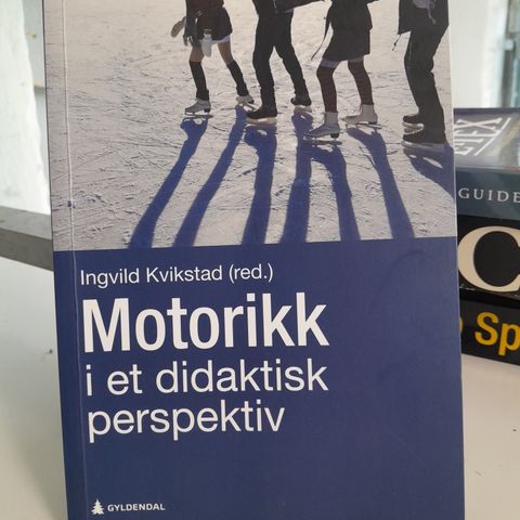 Motorikk i et didaktisk perspektiv (Heftet) Ingvild Kvikstad