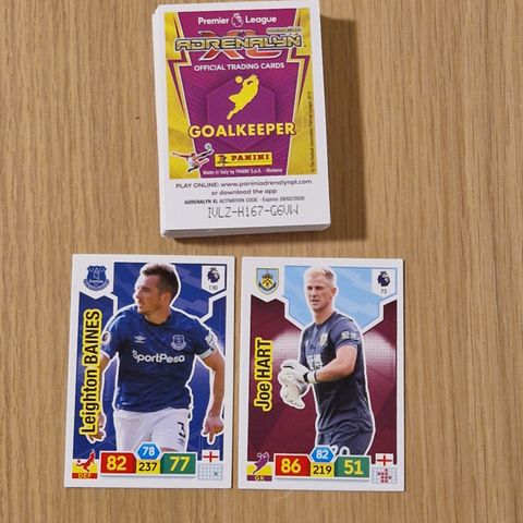 Premier League 2019/20 Panini Adrenalyn XL