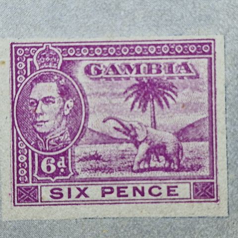 Britisk Gambia 1937 uperforert - Sjelden 6 pence postfrisk frimerke