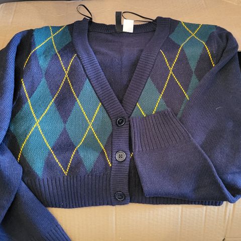 Short sweater from h&m, never worn