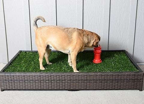 Hund i Leilighet? Porch Potty-Luksus Selvdrenerende Hundetoalett med "hydrant"