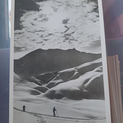 Gamle norske vinterkort fra begynnelsen av 1900 taller