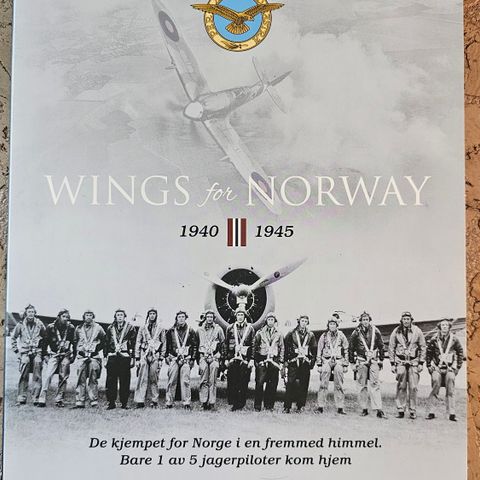 Royal Air Force Krigsminnemedaljen