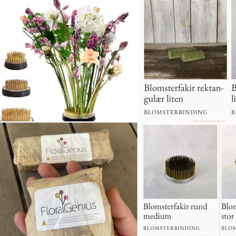 2 stk. blomsterfakir fra Blomsterhagen på Abildsø /FloraGenius