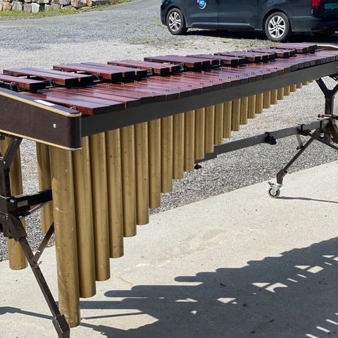 Marimba Adams