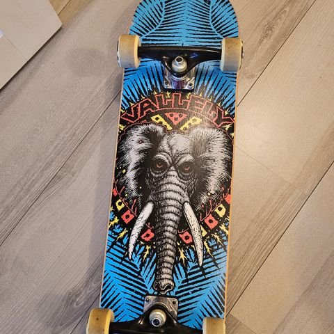 Powell Peralta skateboard - så og si ubrukt