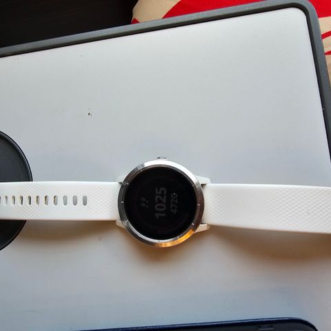 Garmin vivoactive 3 med stål dial