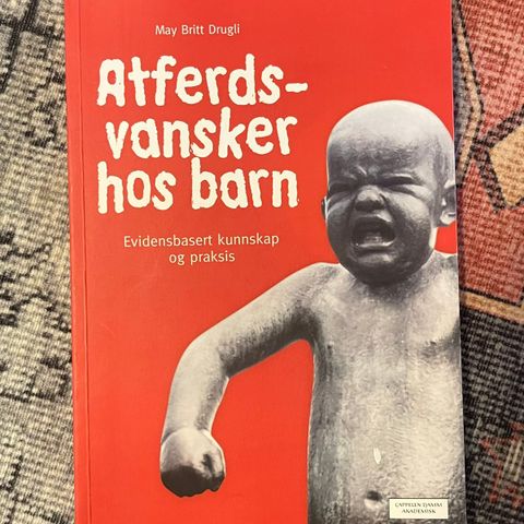 Atferdsvansker hos barn