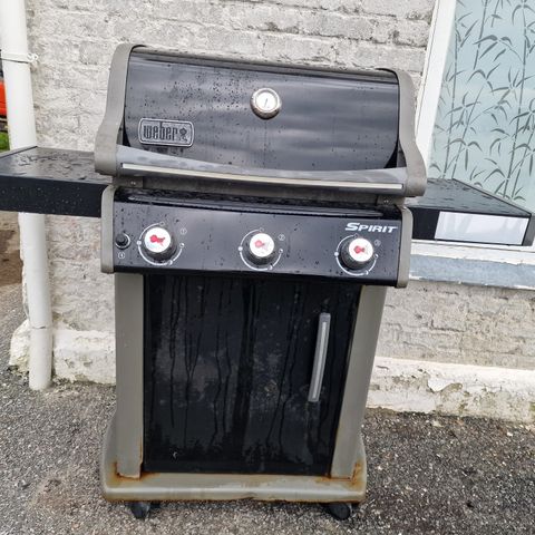 Weber 310 grill