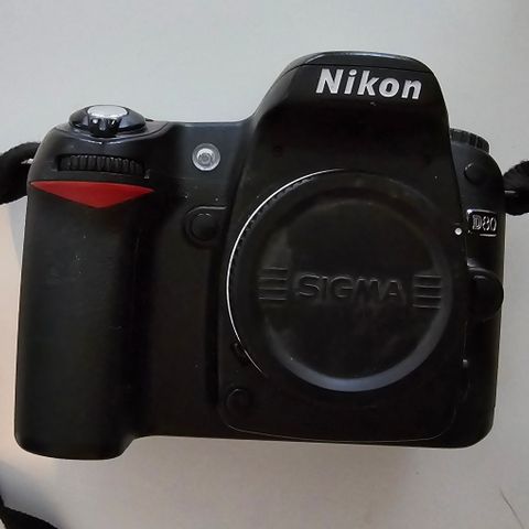 Nikon D80 kamerahus