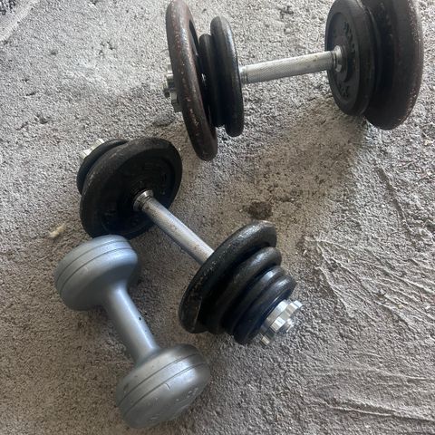 32kg totalt Dumbbells