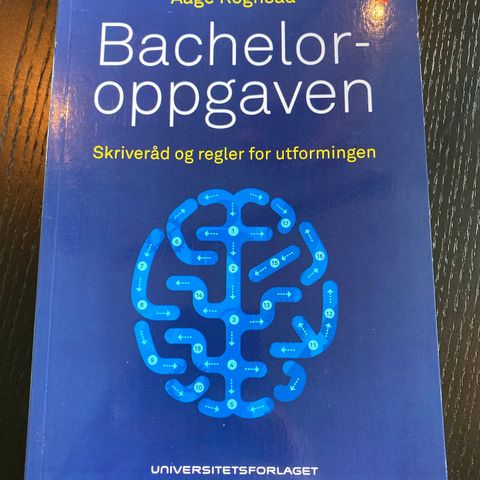 Bacheloroppgaven av Aage Rognsaa