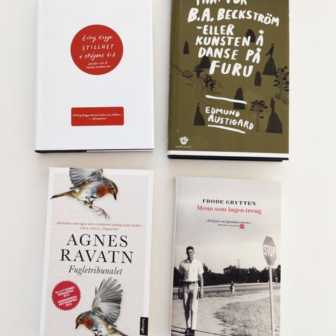 Fire (litt nye) norske bøker