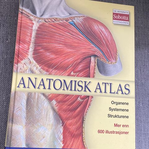 Anatomisk atlas