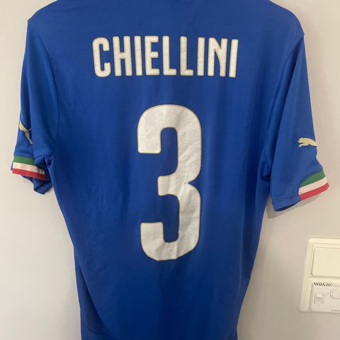 Italia 2014 #3 Chiellini