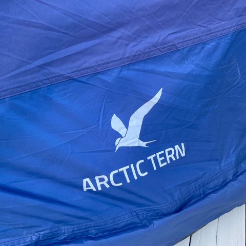 Arctic Tern Family Camp