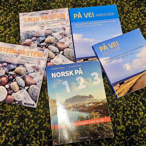 På Vei, Stei på Stein Tekstbok & Arbeidsbok -  Nivå A1-A2