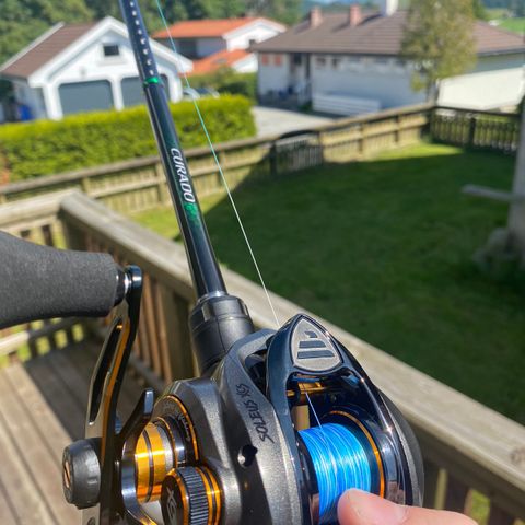 Fiskestang og snelle: Shimano Curado Stang / Soleus XCS Snelle