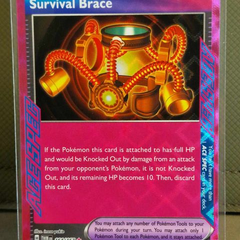 Survival Brace #164 - Pokemon Twilight Masquerade