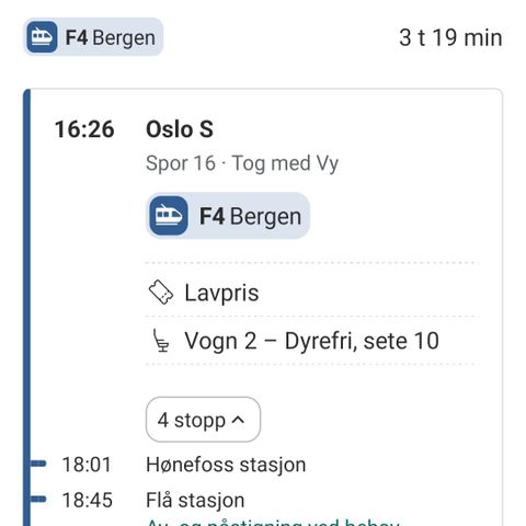 Redusert pris : VY Oslo S -> Ål Stasjon (28.07 kl: 16:25)