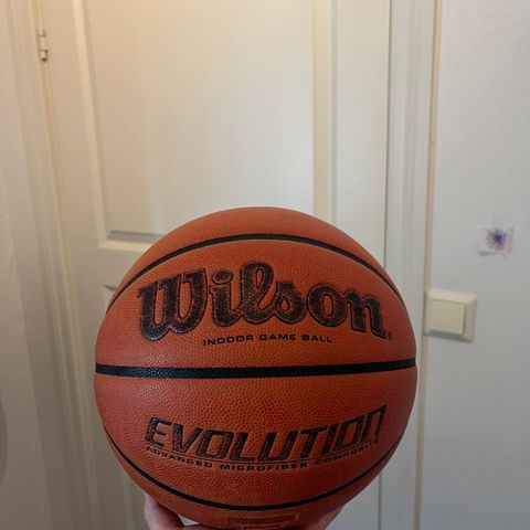 Wilson Evolution basketball