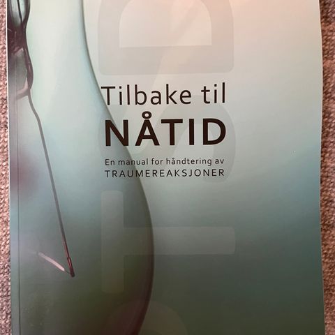 Tilbake til nåtiden