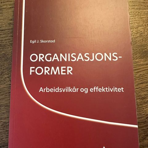 Organisasjonsformer: arbeidsvilkår og effektivitet