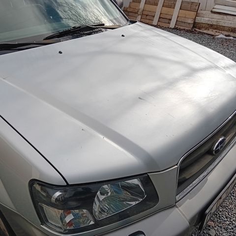 Panser Subaru Forester SG 2002-2005.