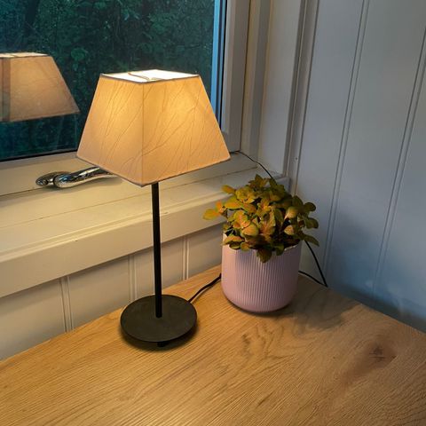 Lampe