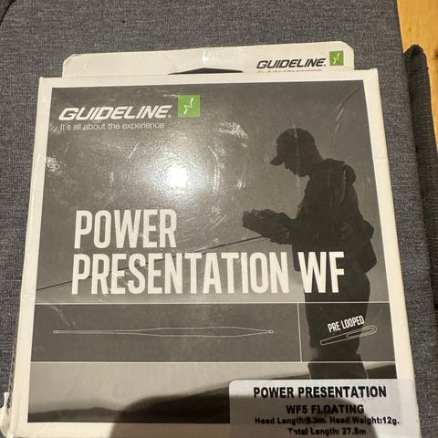 Guideline Power Presentation #5 selges