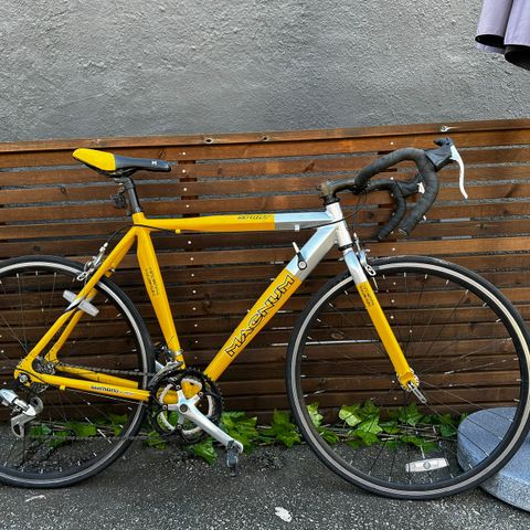 Magnum shimano 14 speed retro