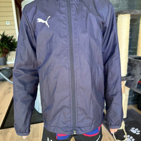 Puma vind jakke str 128