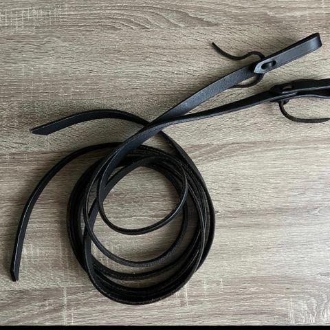 Split reins