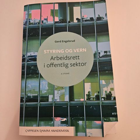 Styring og vern - arbeidsrett i offentlig sektor