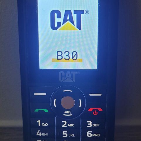 CAT  B30