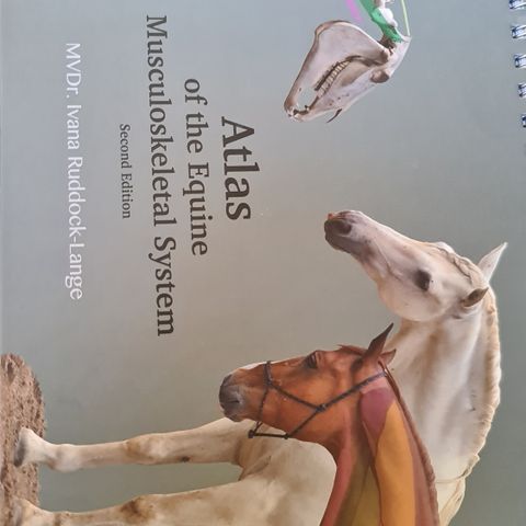 Atlas of The Equine Musculoskeletal System