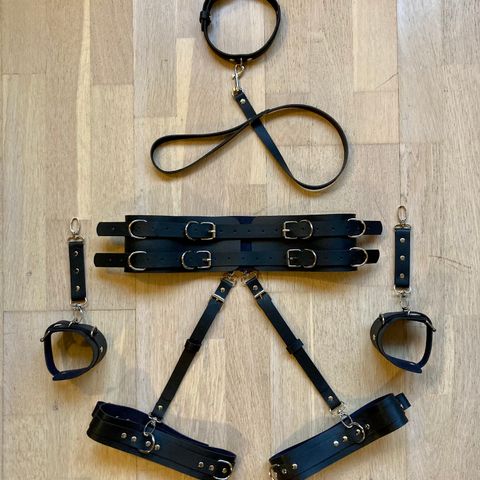 BELT & COLLAR HARNESS