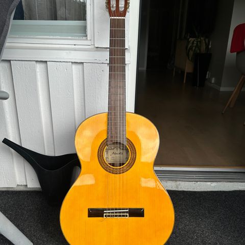 Alvarez Gitar