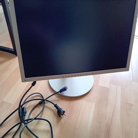 Eizo 22 tommer LCD skjerm