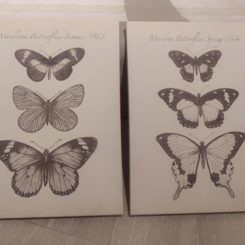 To lerretsbilder av sommerfugler