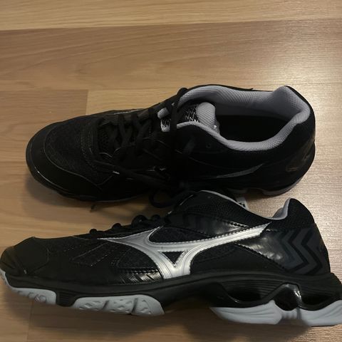 Mizuno innesko