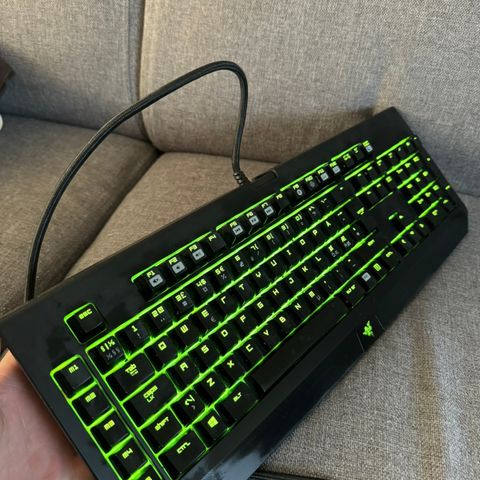 Razer BlackWidow Chroma | Gaming Tastatur | Green Switches| eSports Ready! |RGB!